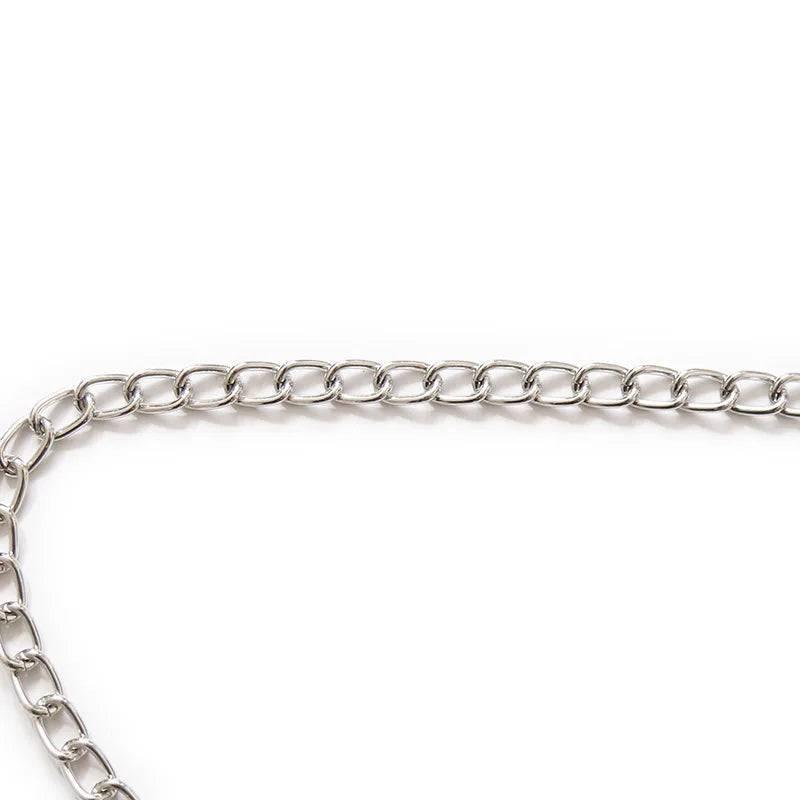 Adjustable Metal Nipple Clamps with Chain | BDSM Bondage Erotic Toys for Women and Couples | Masturbation Accessories - Passion Pulse Adult