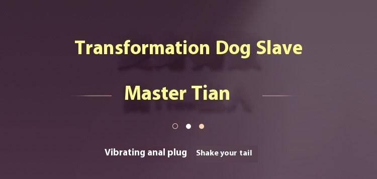 SM Remote Control Wearable Vibrating Butt Plug - Passion Pulse Adult