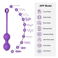 Wireless APP Bluetooth Vibrator for Women - Passion Pulse Adult