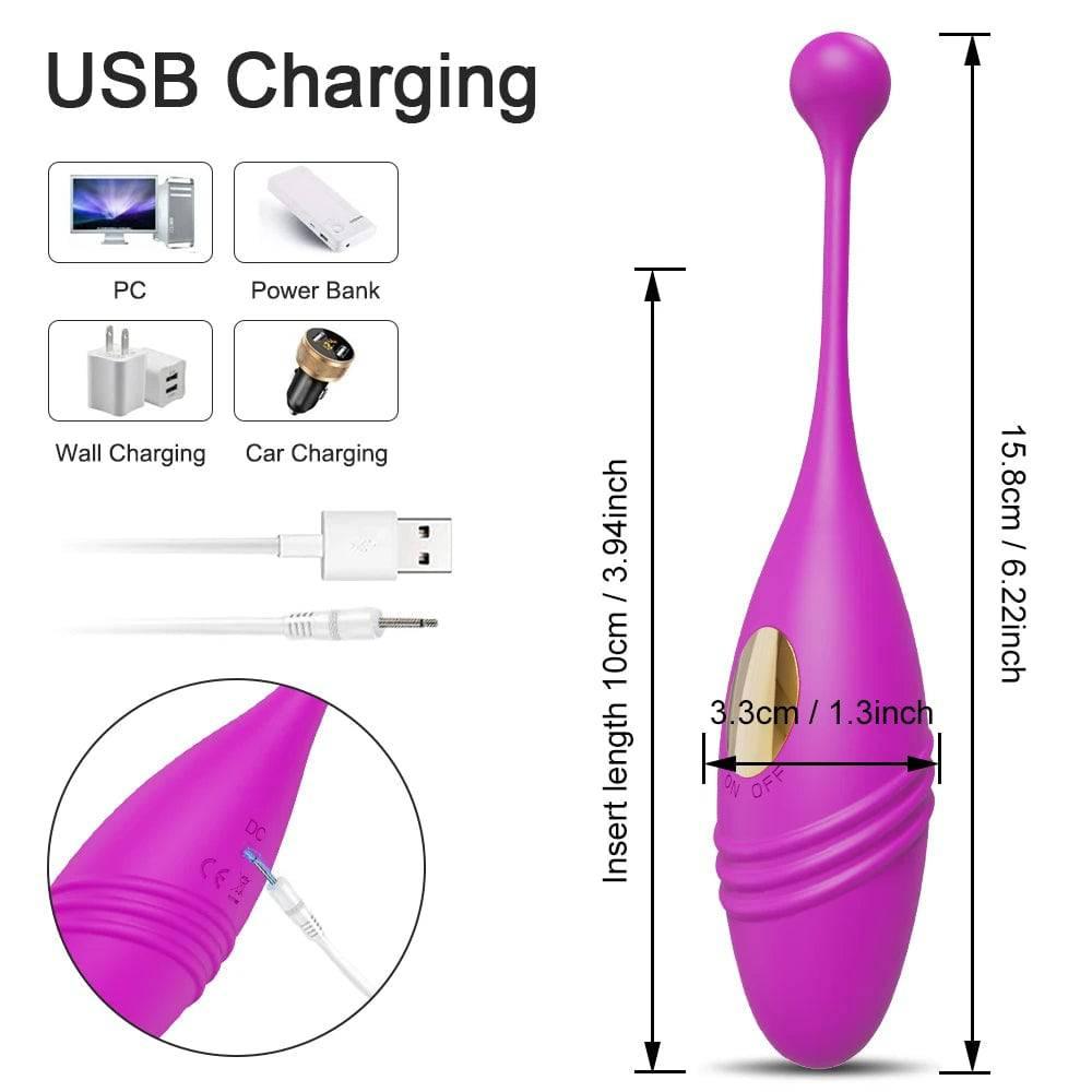 Wireless Remote Control Vibrating Love Egg - Passion Pulse Adult