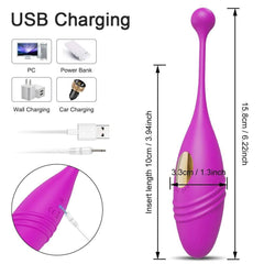 Wireless Remote Control Vibrating Love Egg - Passion Pulse Adult