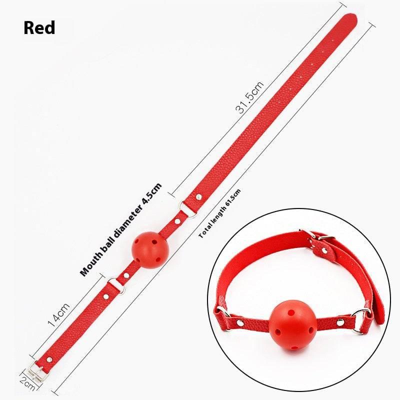 SM Ball Gag - Passion Pulse Adult