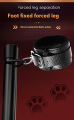 SM Iron Chain Collar Set - Passion Pulse Adult