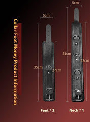 SM Iron Chain Collar Set - Passion Pulse Adult