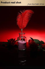 SM Feather Paddle - Passion Pulse Adult