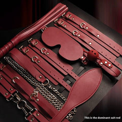 SM Discipline Set: Cuffs and Leather Whip - Passion Pulse Adult