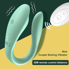 Wireless Control Dual Vibrator