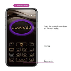 Pretty Love APP Bluetooth Wireless Vibrator